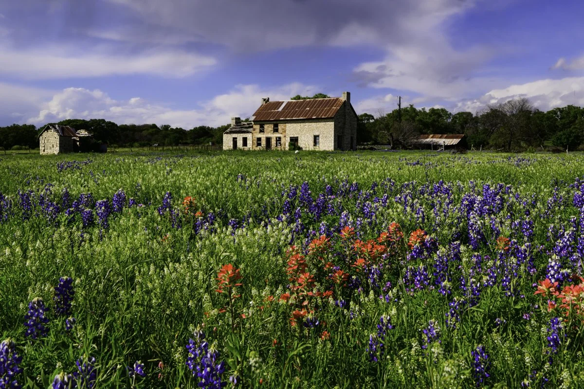 2026 Texas Wildflower Private Tour — Experience Wildlife